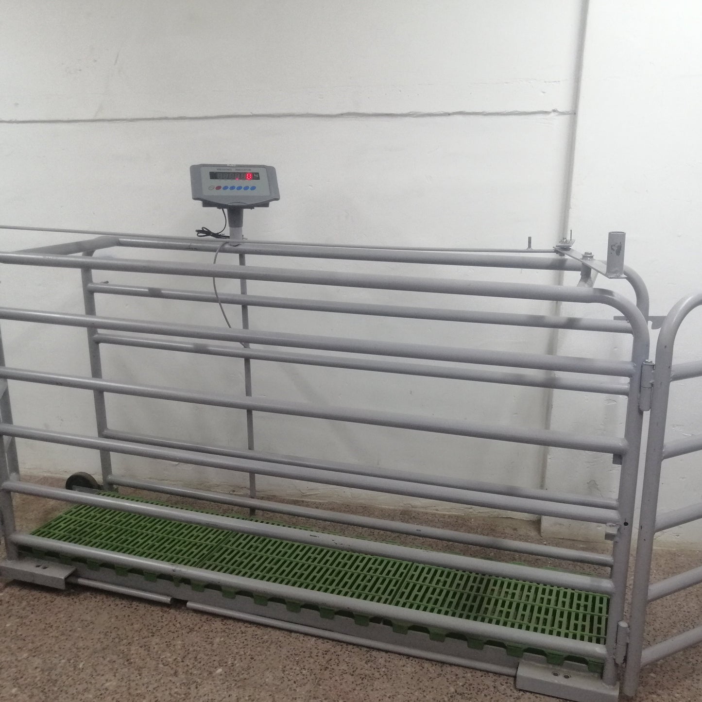 Báscula Corral Porcino Solo Tuberia (120X40cm x 160x60cm / 180x40cm)
