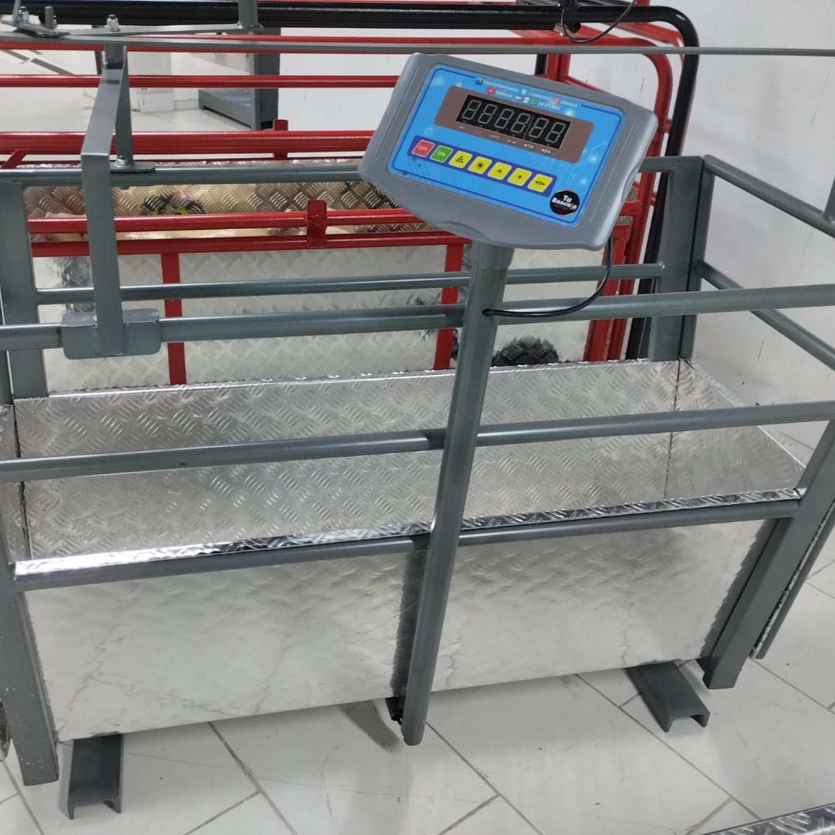 Báscula Porcina con Plataforma, Puertas y Barandas 120X45cm