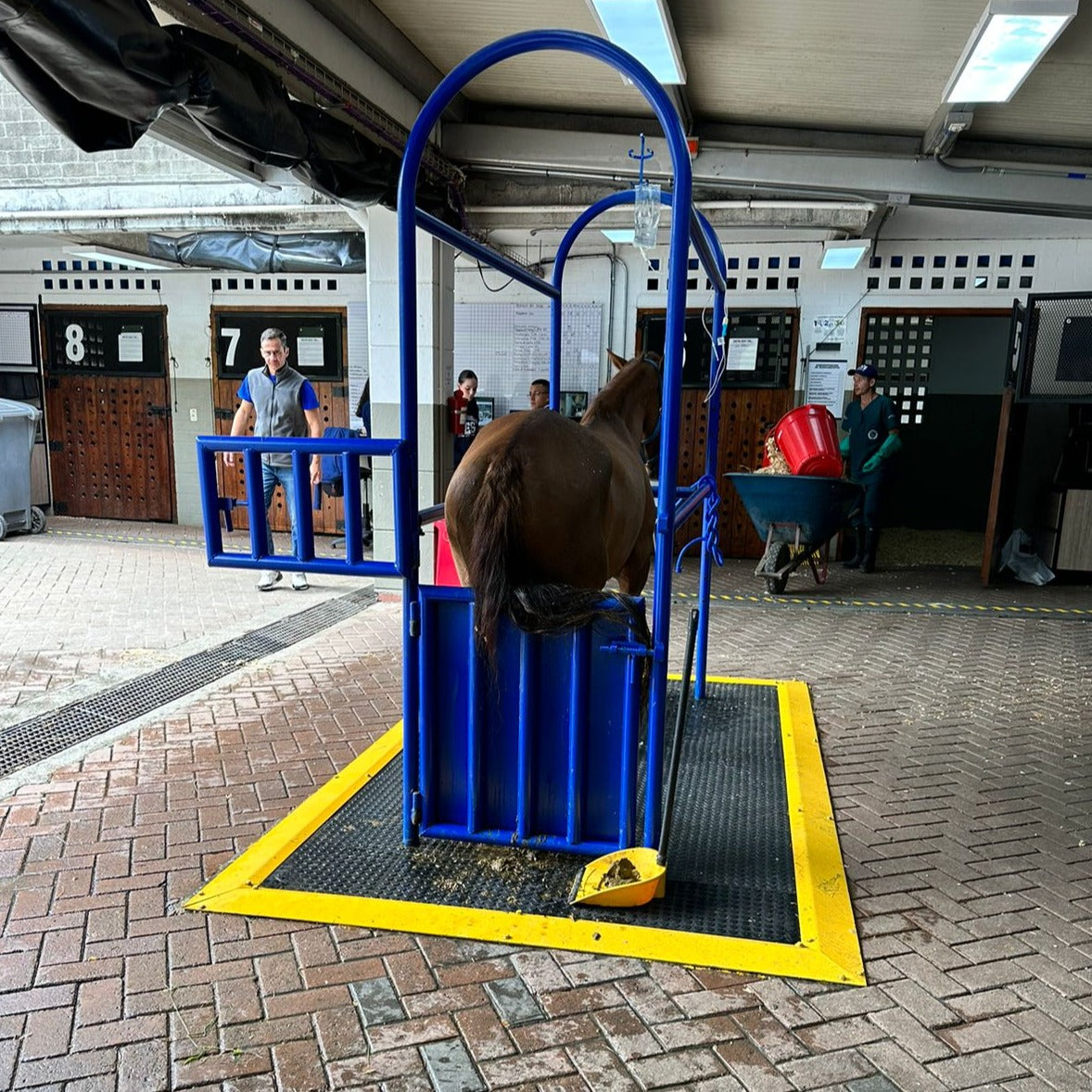 Brete Equino